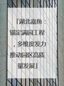 湖北嘉鱼：锚定满园工程，多维度发力推动园区高质量发展